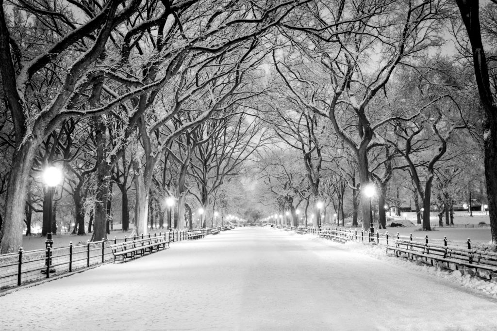 Central Park New York City in the Snow